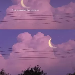 手机壁纸