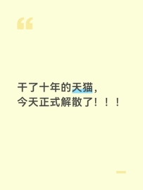 干了十年的天猫啊！